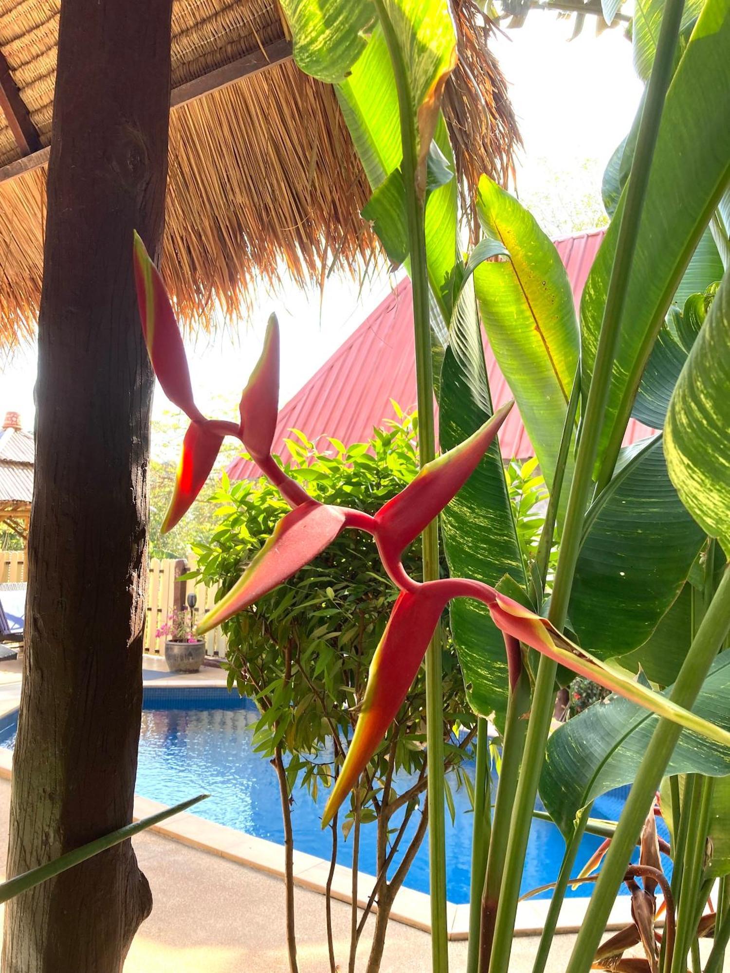 Villa Ayutthaya At Kantiang Bay Ко-Ланта Екстер'єр фото